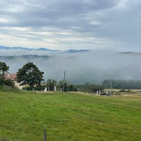 Saint-Maurice-en-Gourgois Maison En Pleine Natureヴィラ エクステリア 写真